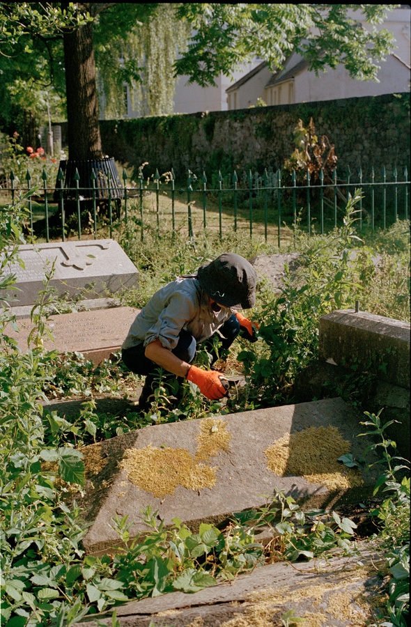 Gardening 22